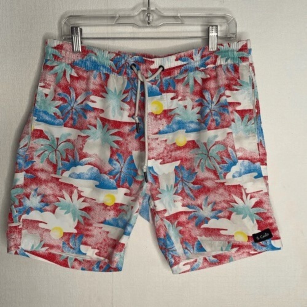 NWOT Barney Cools Amphibious Tropical Unlined Swim Trunks Shorts Men 36 China